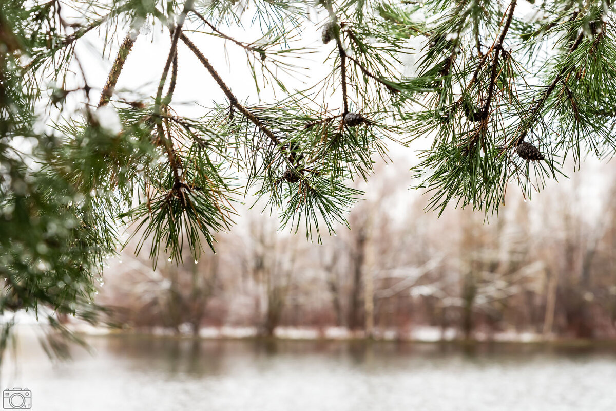 Ноябрь - Александр 