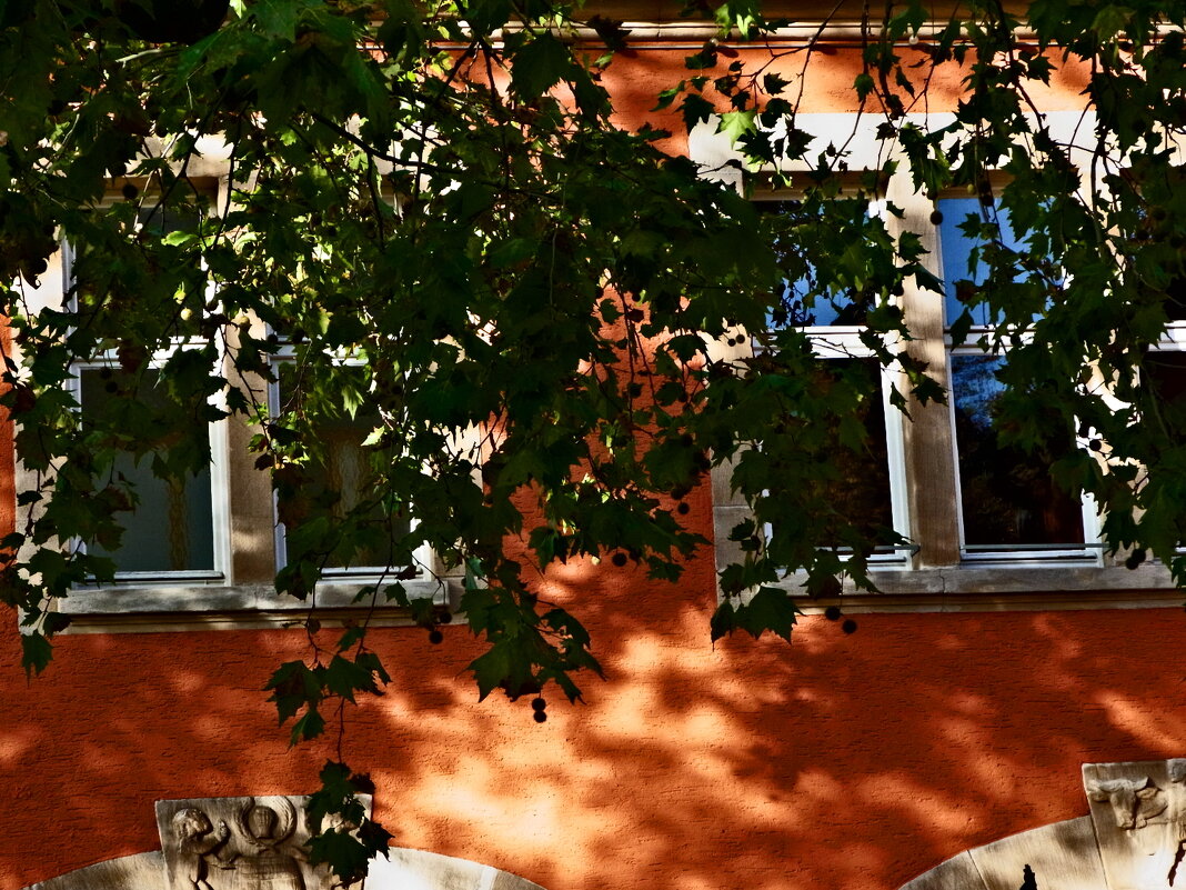 Осень 58 - Алексей Кузнецов