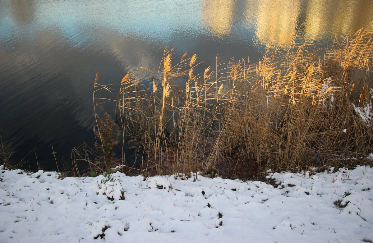 Парк Героев-пожарных. Ноябрь - Наталья Герасимова