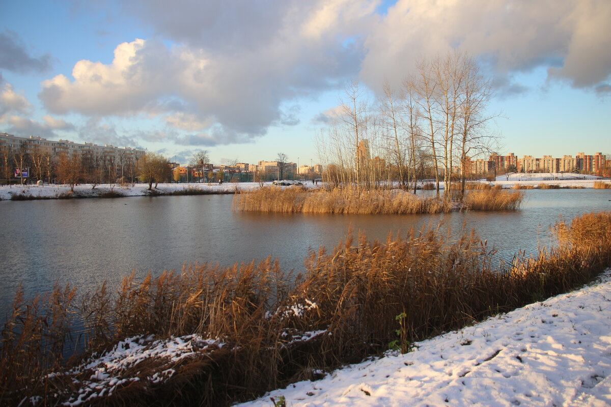 Парк Героев-пожарных. Ноябрь - Наталья Герасимова
