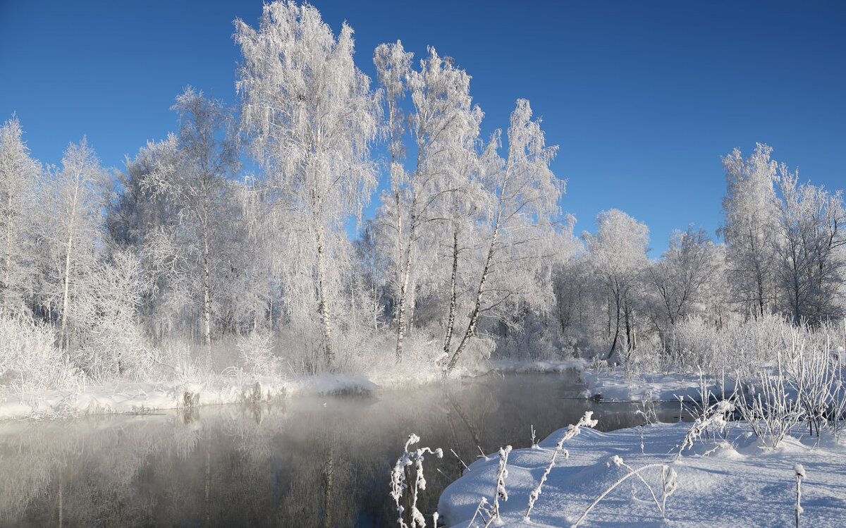У родника... - владимир 