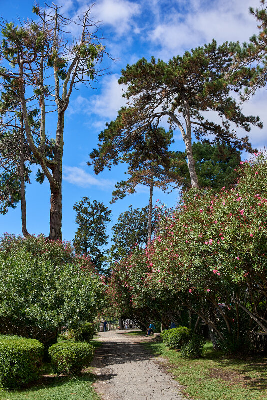 Возле Нового афона - Александр Леонов