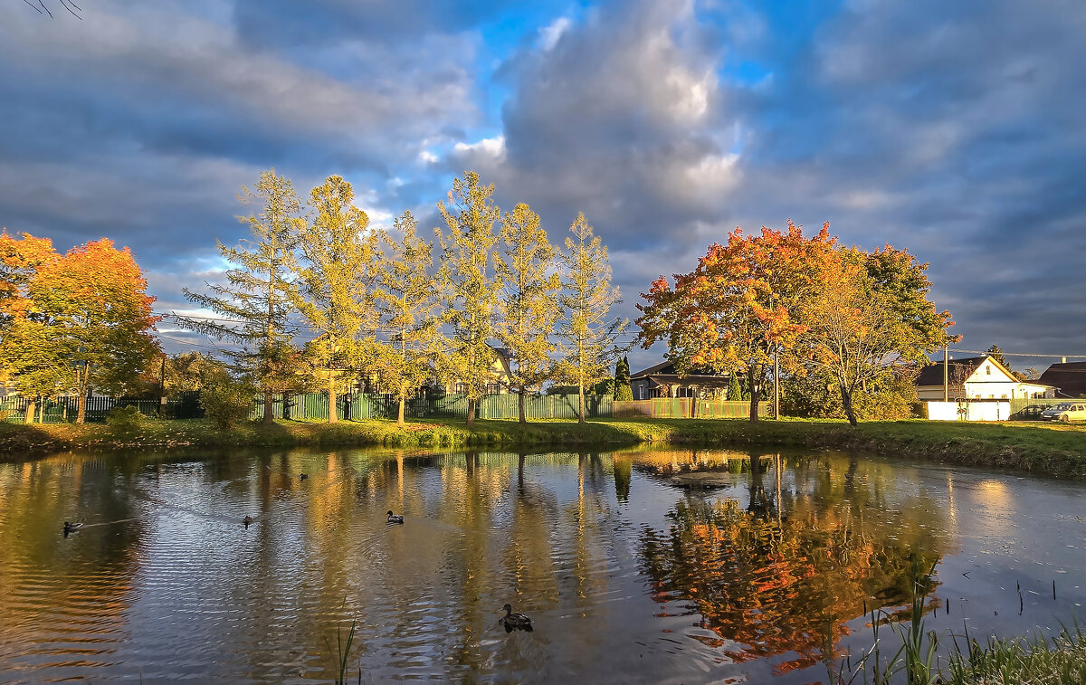 Красоты золотой осени - Oleg S 