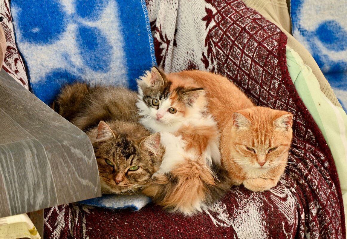 Папа, мама, я, счастливая семья - Вадим 