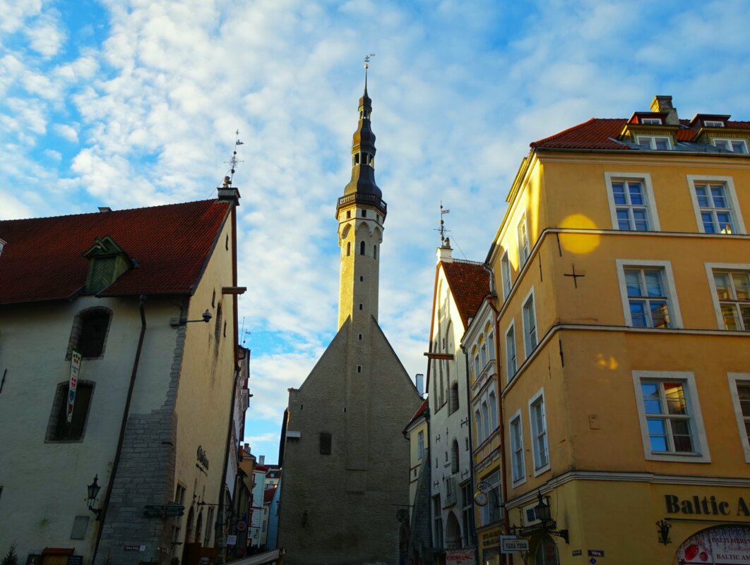 Вид на Ратушу - Aida10 