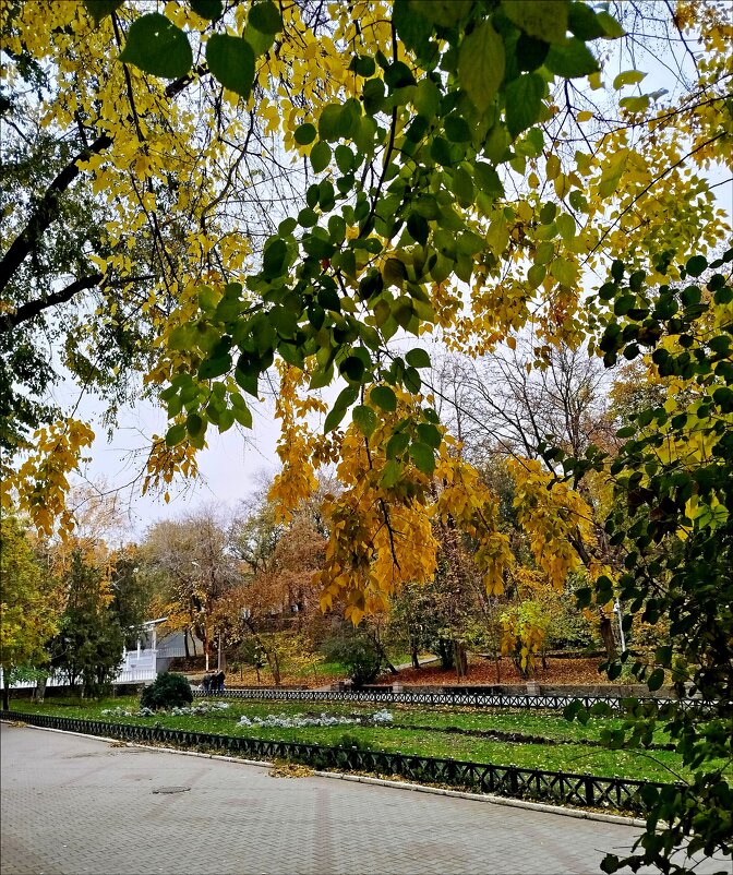 Осенняя вуаль! - Надежда 