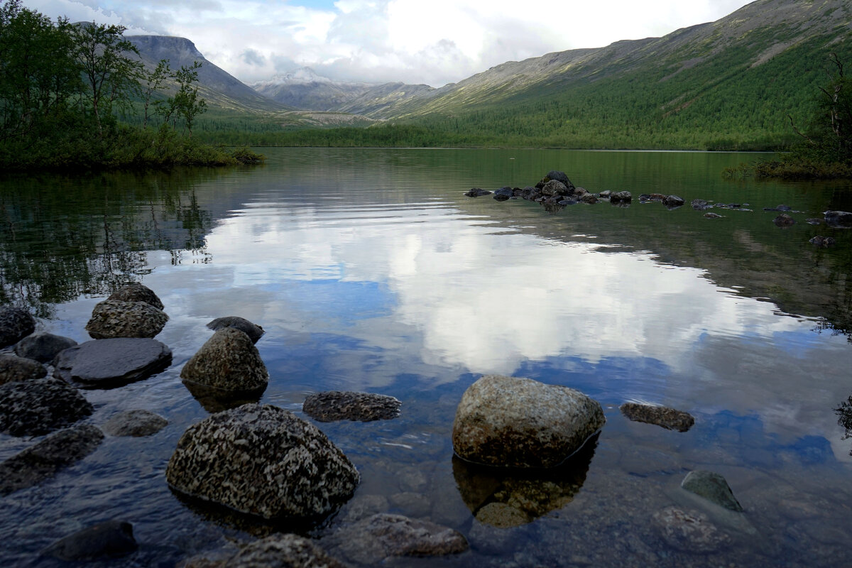 тишина - Анастасия Софронова
