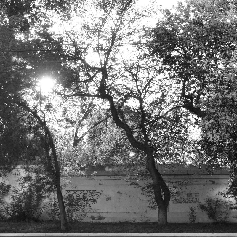 ЭКГ - Сергей Сергеев