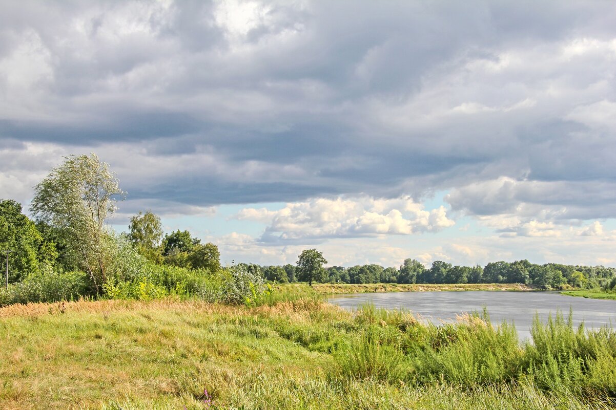 Ветренно. - Сергей Рожков