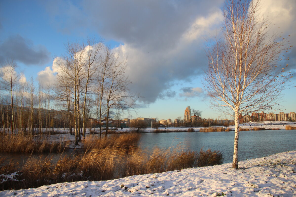 Парк Героев-пожарных. Ноябрь - Наталья Герасимова