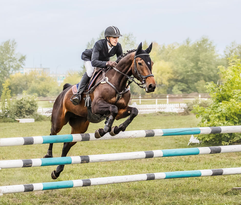 Конкур - SanSan 