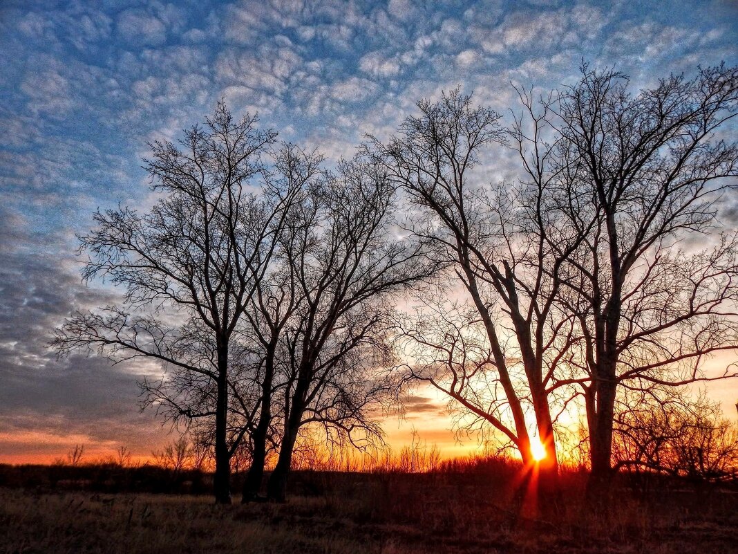 Тает ночь в лучах зари! - Елена Хайдукова ( Elena Fly ) Тает ночь в лучах зари! - Елена Хайдукова ( Elena Fly )