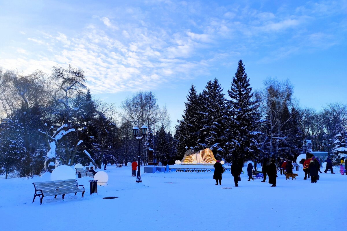 Новосибирск зимний - Татьяна Лютаева