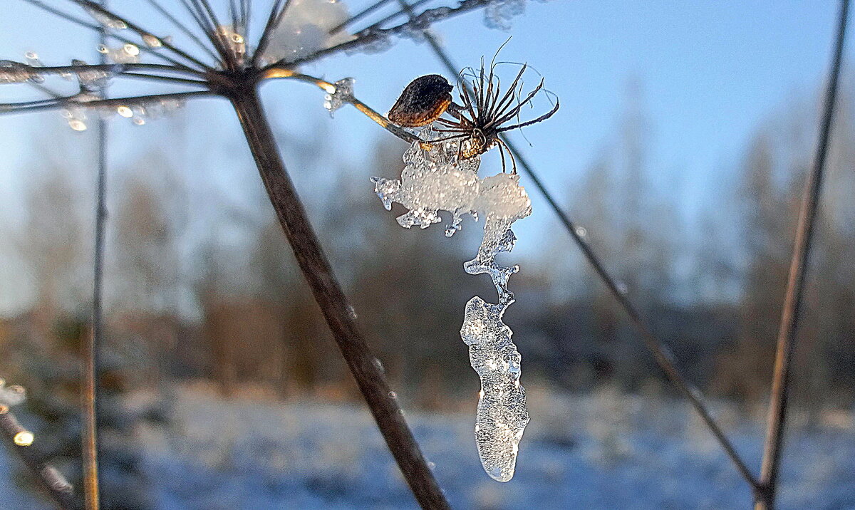 Ледяные фигуры. - Михаил Колосов 