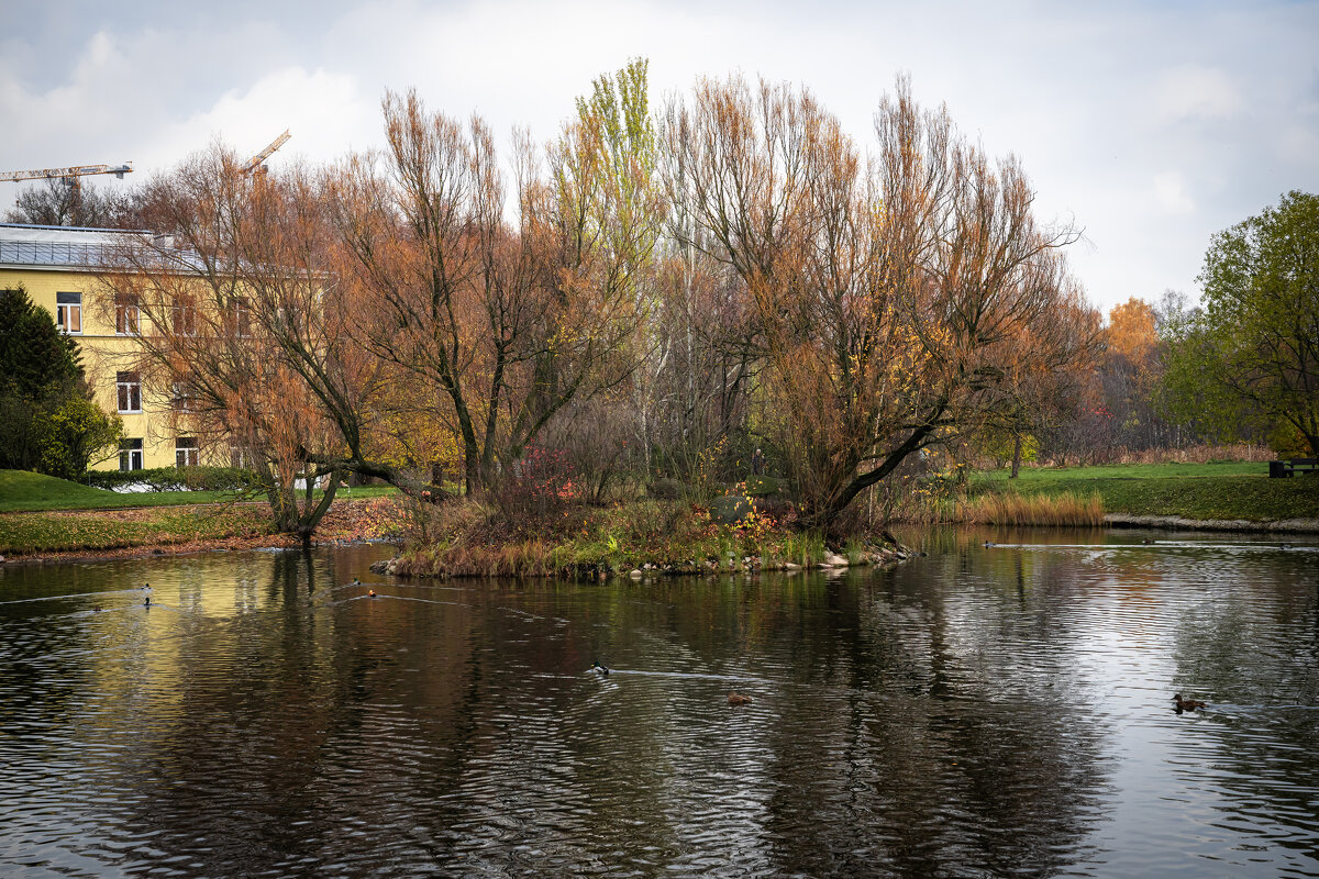 Краски осени - Валерий Пославский