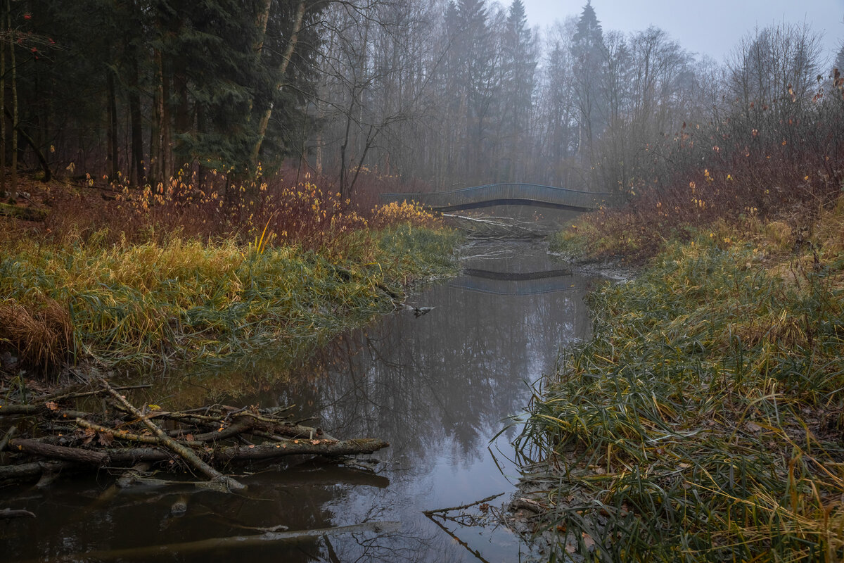 **** - Елизавета .