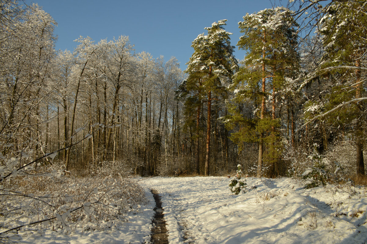Отличный подарок-прекрасная погода. - Николай 