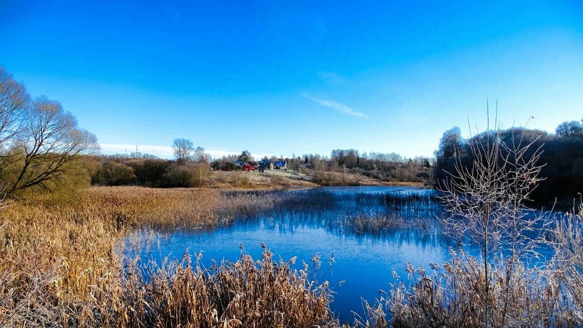 Ноябрь на Смоленщине (репортаж из поездок по области). - Милешкин Владимир Алексеевич 