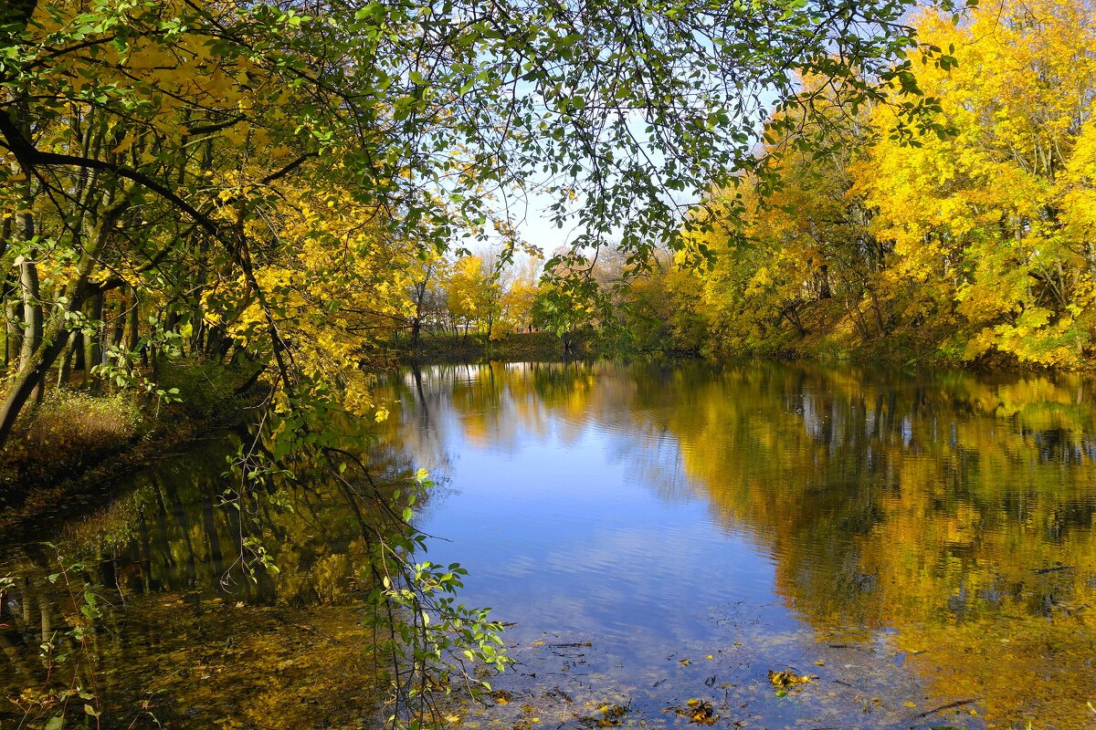 Картинки ноября - Рита Симонова Картинки ноября - Рита Симонова