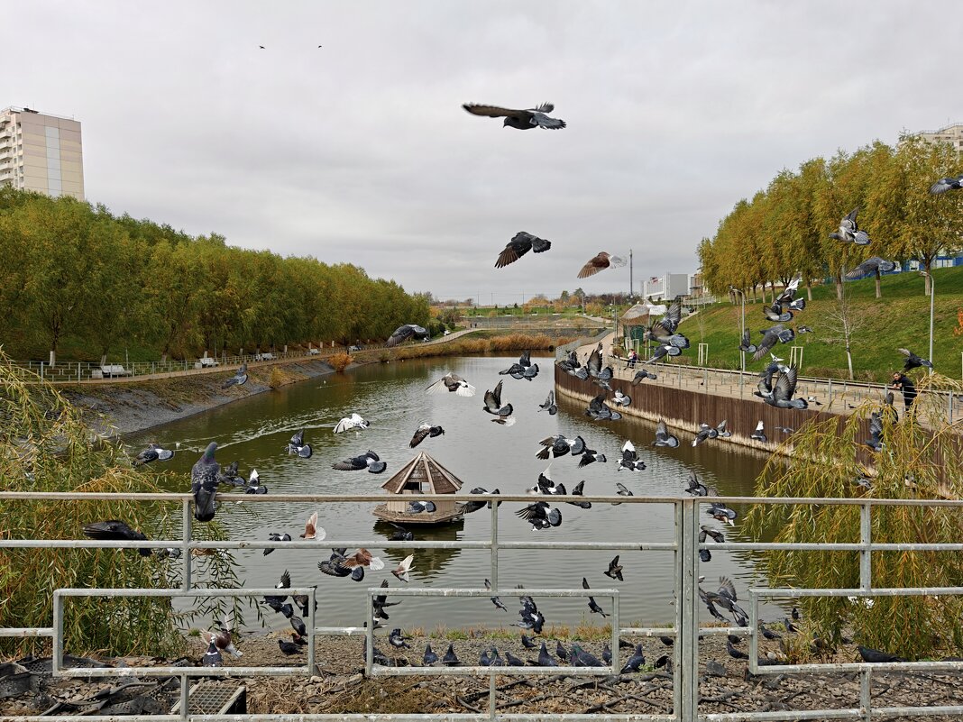 Ростовские зарисовки - Александр Гапоненко