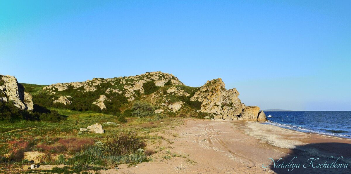 Природа Крыма - Amazing Cosmea