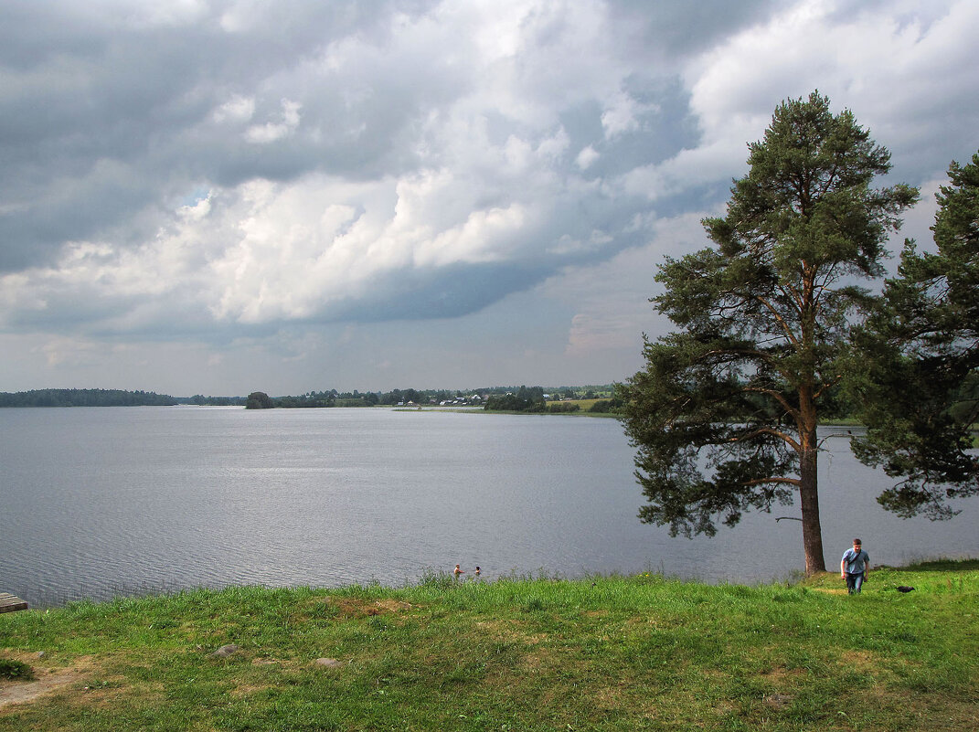 Ферапонтовское озеро - Александр Ильчевский 
