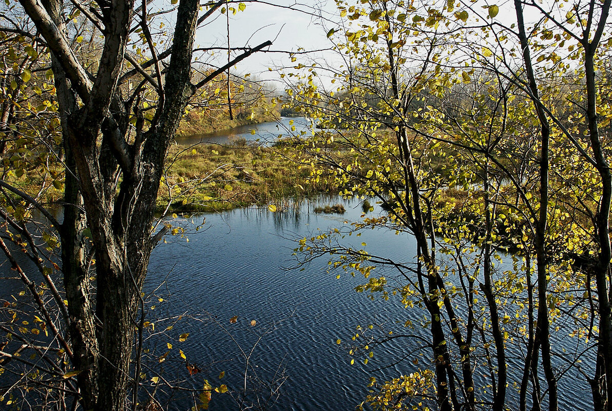 Осень - MILAV V