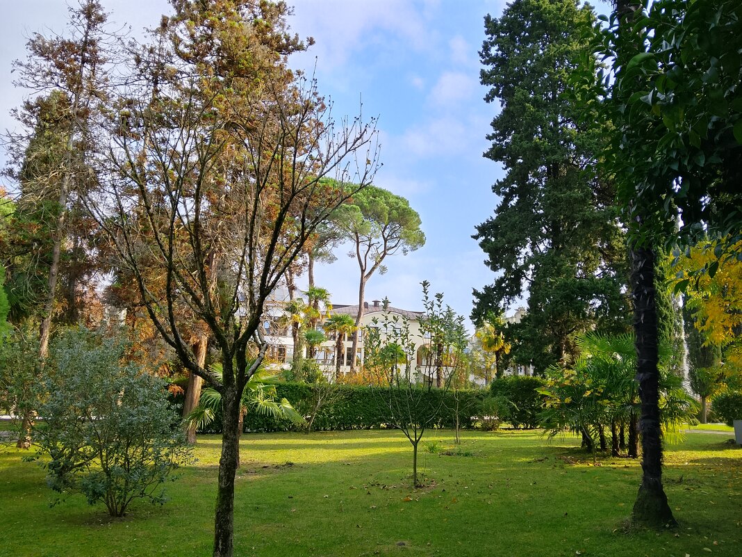 Санаторий Авангард Сочи - Tata Wolf