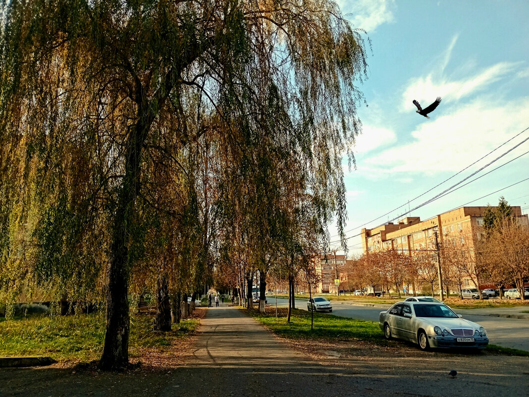 Середина ноября... - Татьяна Львова