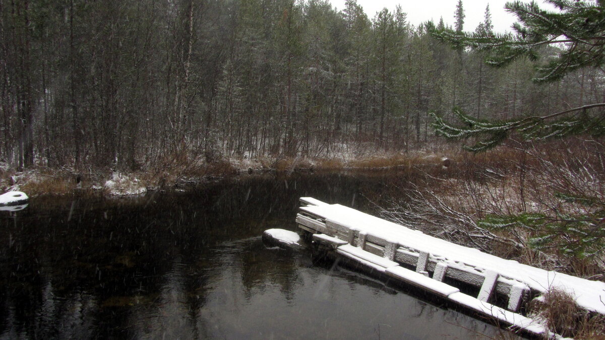 Зима начинается.. - Галина Полина