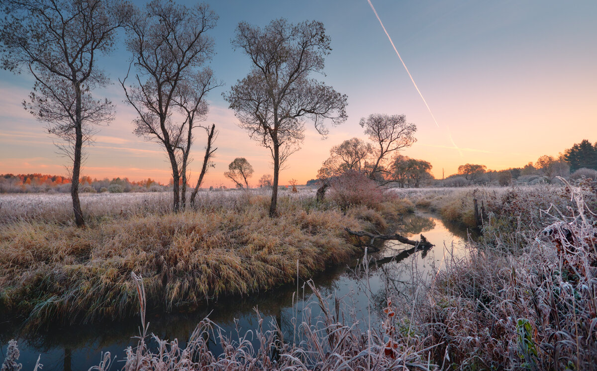 Серебро ... - Roman Lunin