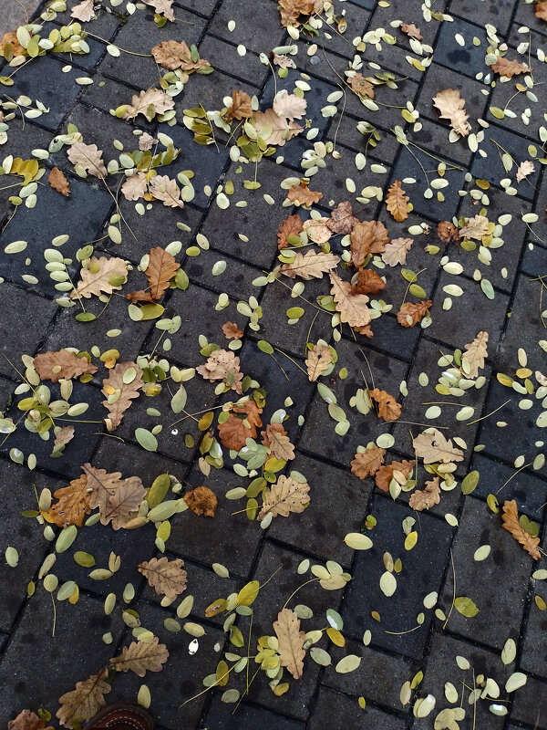 *** - Валентина Береснева *** - Валентина Береснева