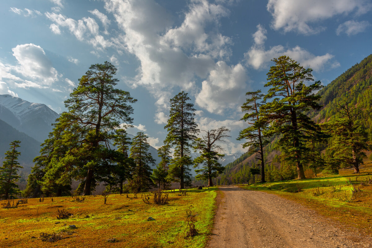 *** - Аnatoly Gaponenko