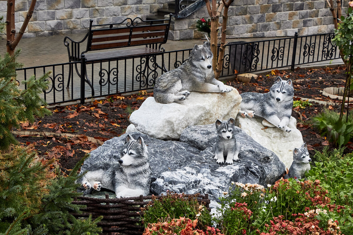 Композиция "Волки" - Алексей Р.