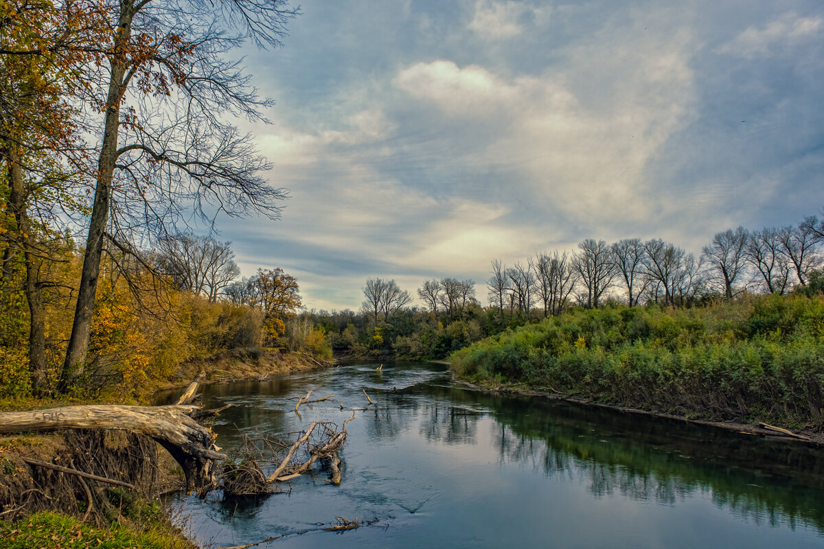 Поздняя осень - Сергей Шатохин 