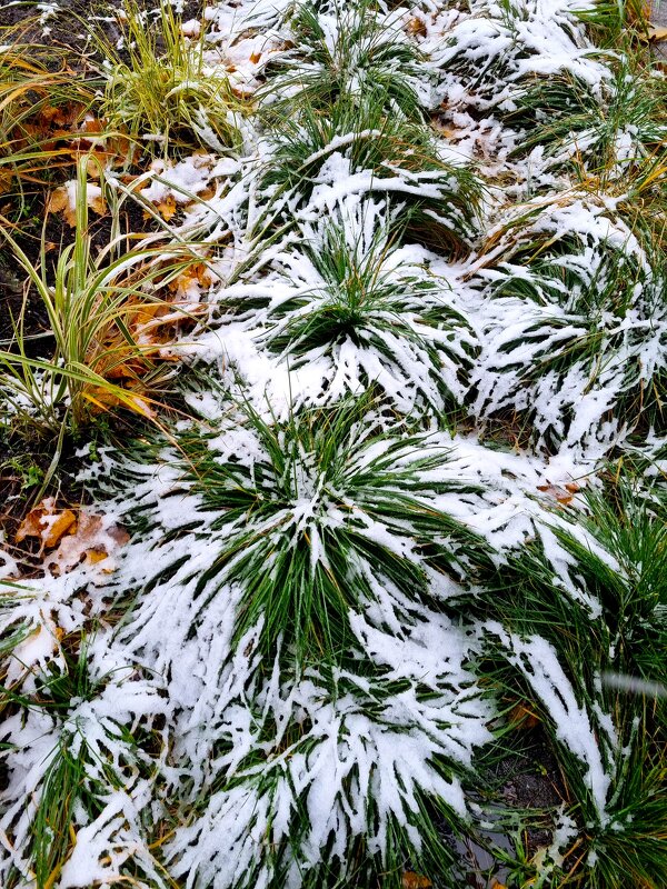 Ноябрьский декор - Татьяна [Sumtime]