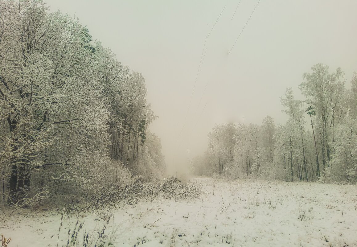 Первый снег - Сергей 
