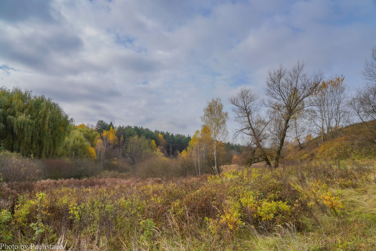 Палитра октября... - Владимир Жданов