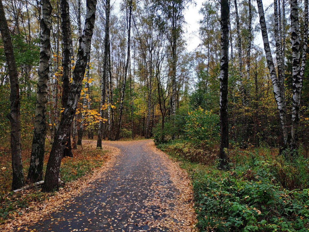 Так наступил октябрь 2023 - Андрей Лукьянов