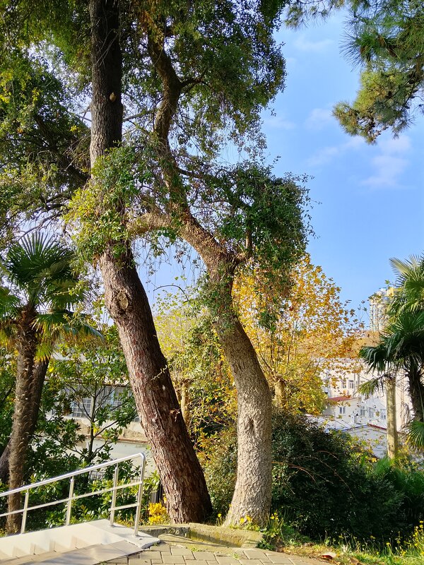 Санаторий Авангард - Tata Wolf