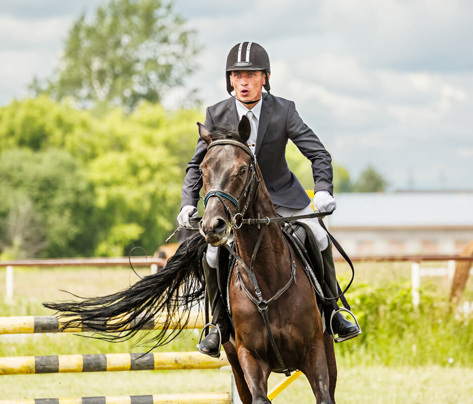 Конкур - SanSan 