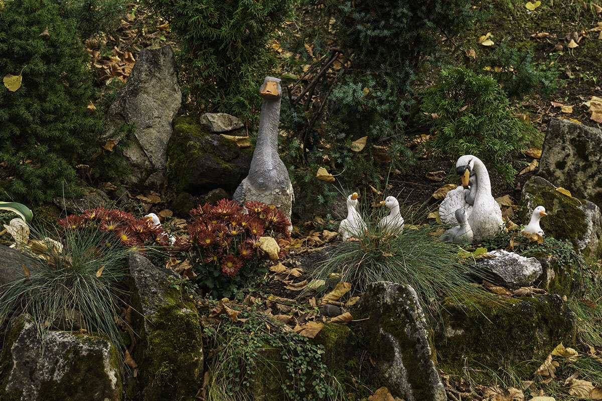 Инсталляция - Игорь Сикорский