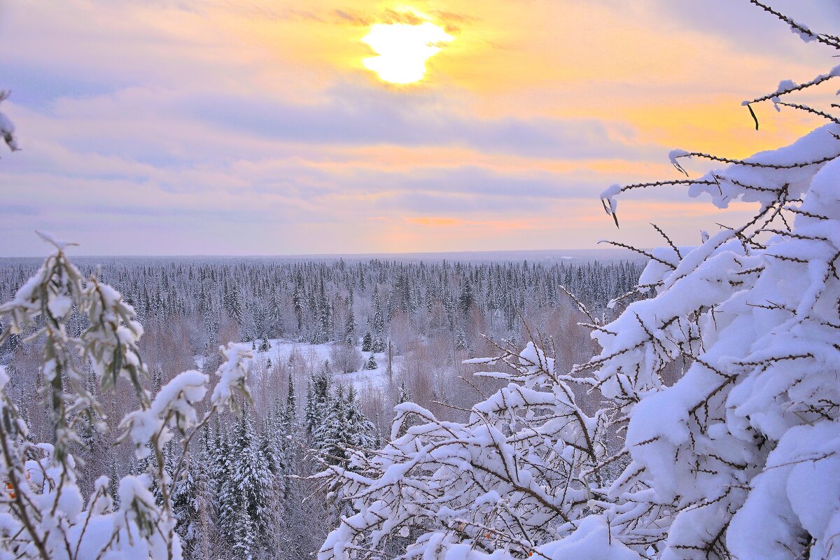 - - Владимир Мигонькин - - Владимир Мигонькин