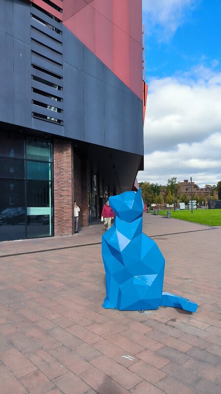 Калининградские котики. - Ольга 