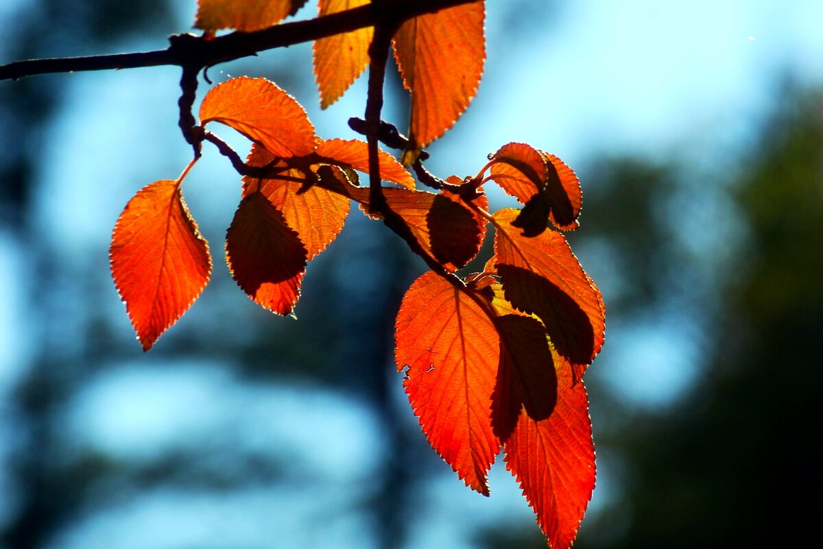 Доброе утро - Юрий. Шмаков