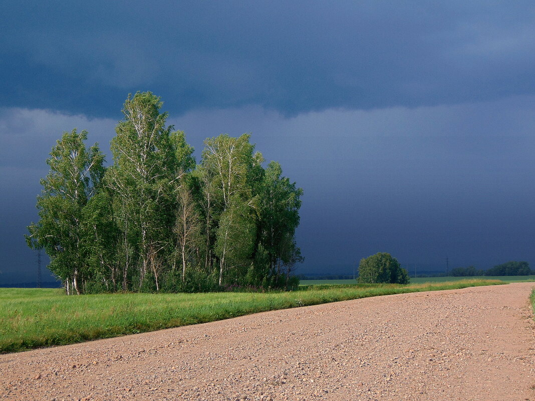 Вновь тучи захватили небо в плен. И не видать им ни конца, ни края. - nadyasilyuk Вознюк