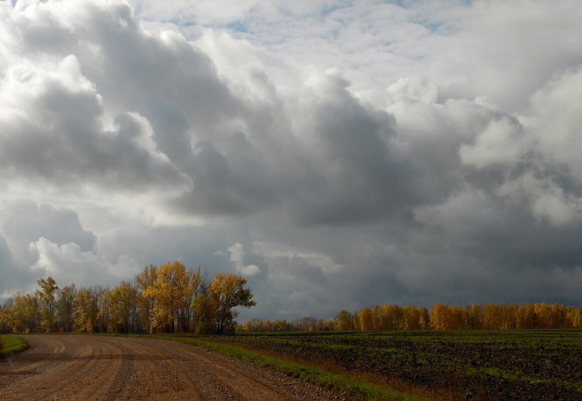 Тучи сгущаются. - nadyasilyuk Вознюк