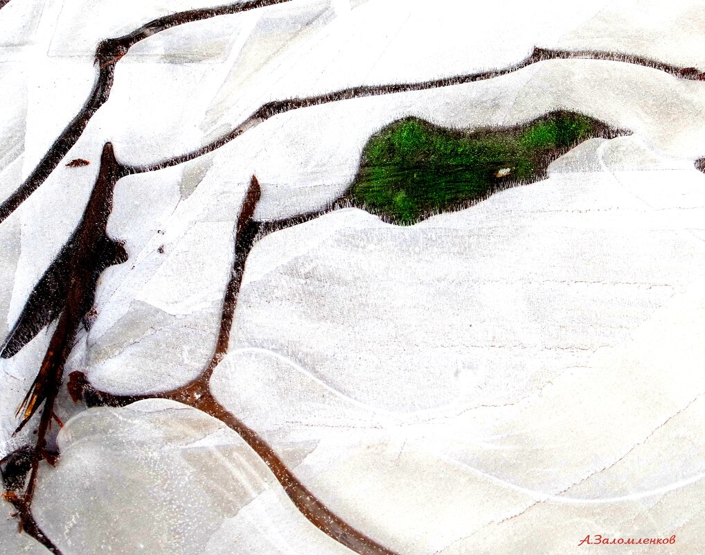 Графика предзимья.. - Андрей Заломленков