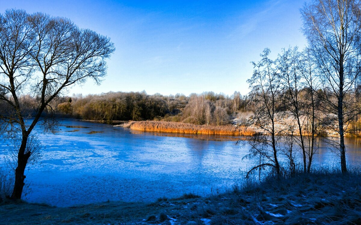 Ноябрьское утро на озере (репортаж из поездок по области). - Милешкин Владимир Алексеевич Ноябрьское утро на озере (репортаж из поездок по области). - Милешкин Владимир Алексеевич