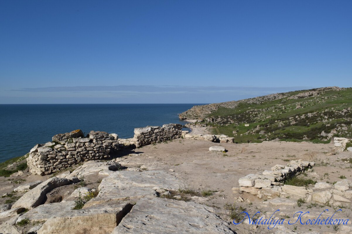 Природа Крыма - Amazing Cosmea